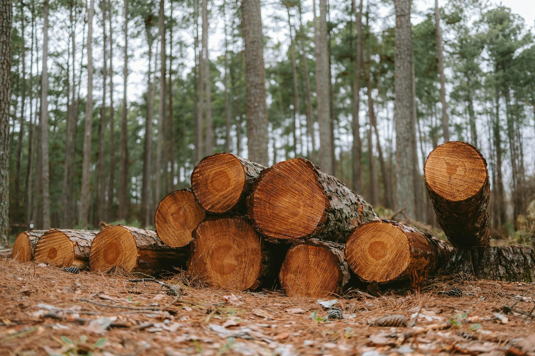 Drying Wood without a Kiln